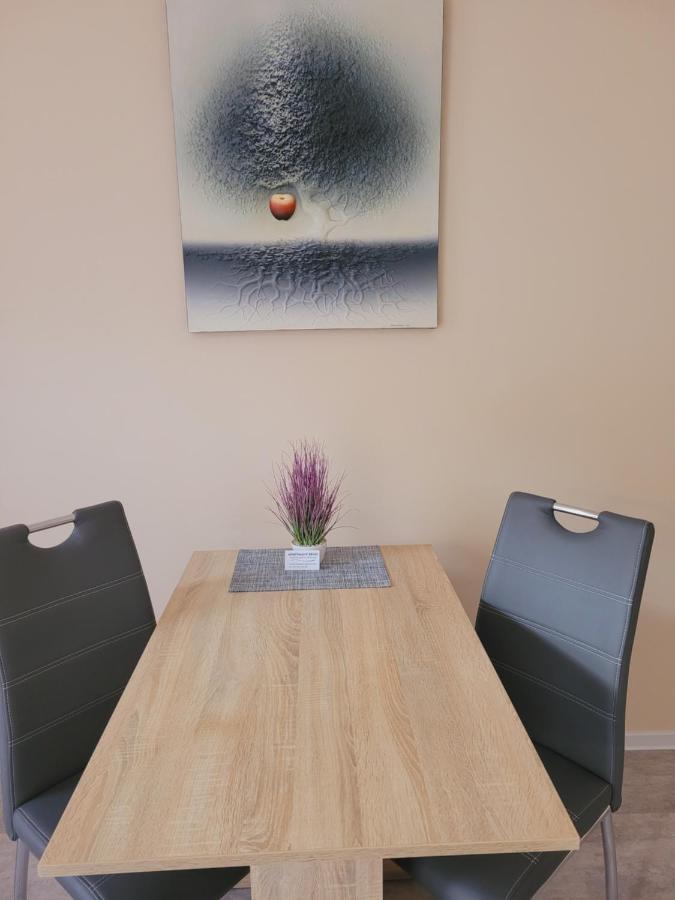 Apartmany Brno דירה ברנו