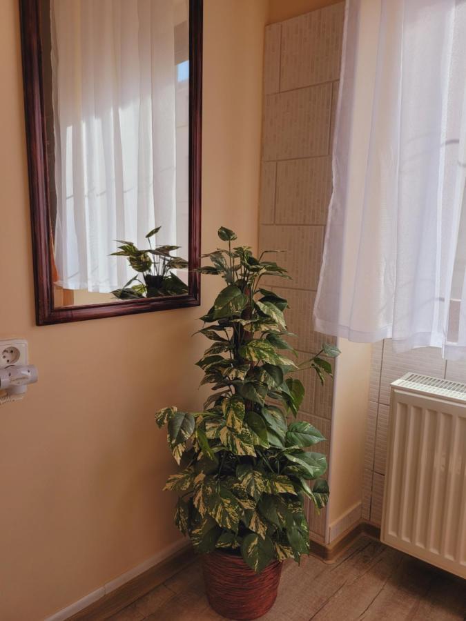 דירה Apartmany Brno *