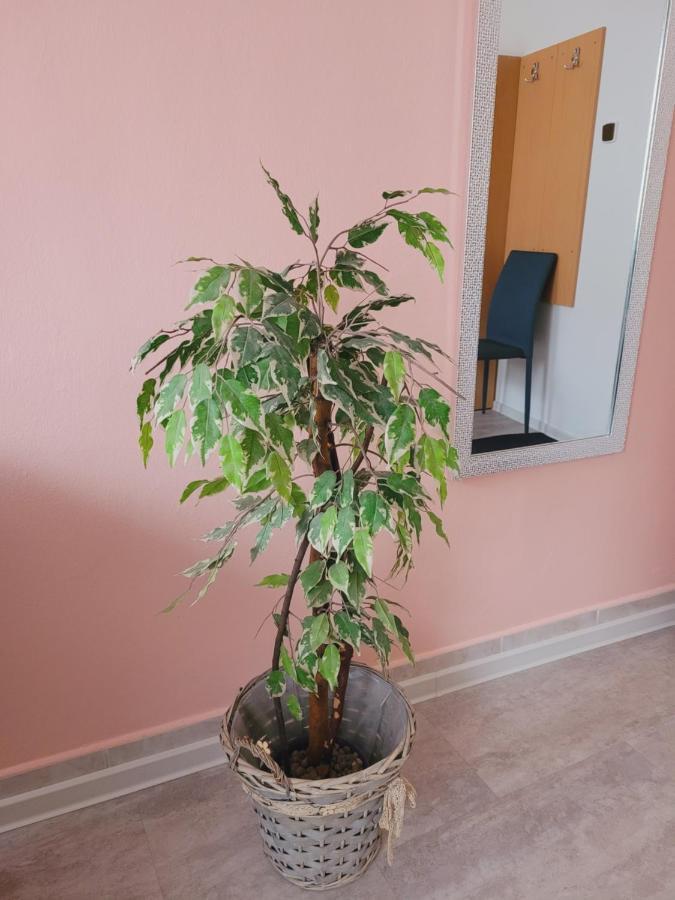 דירה Apartmany Brno