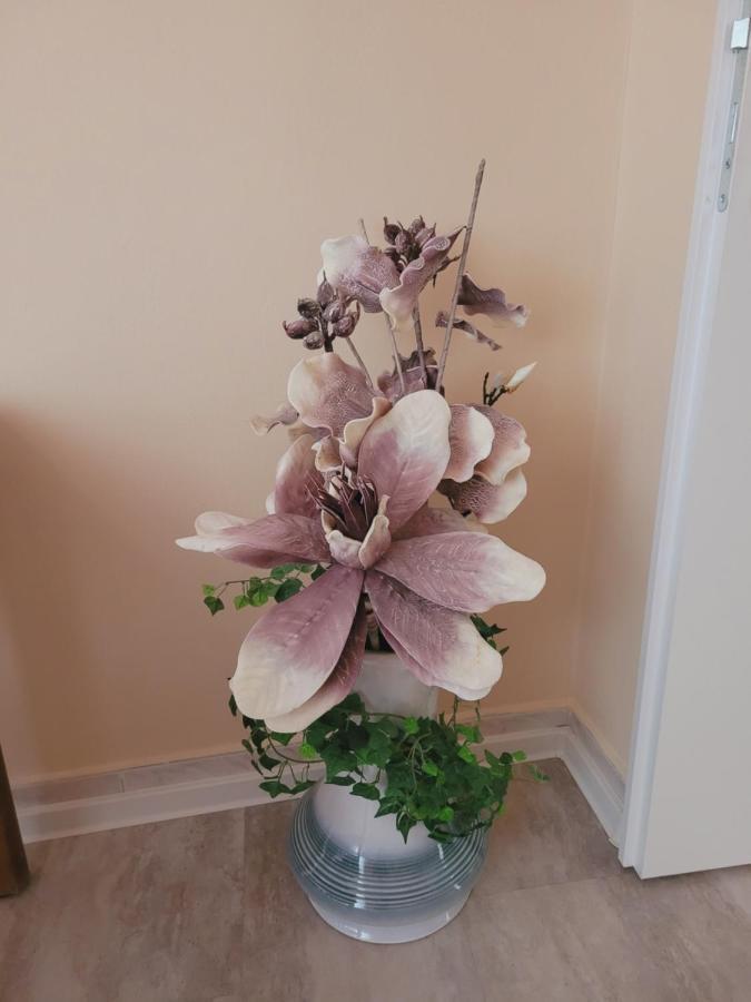 דירה Apartmany Brno *